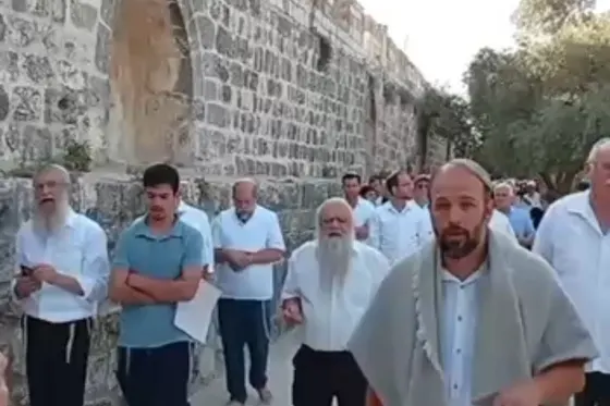 Al-Aqsa : provocations quotidiennes