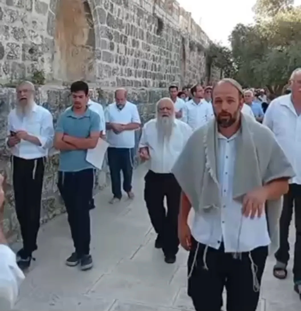 Al-Aqsa : provocations quotidiennes