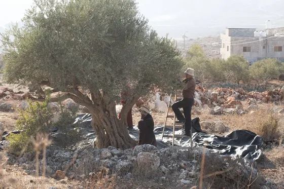 Cisjordanie : Un maire français agressé par des colons accuse Israël de « tolérer » leurs violences, l’UE condamne