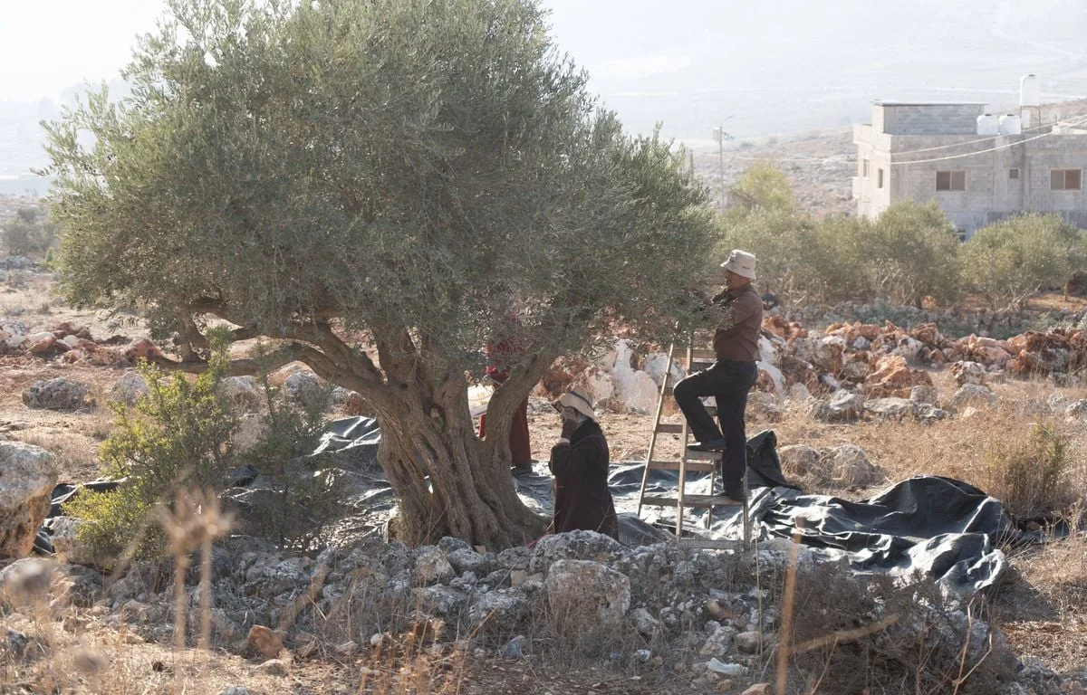 Cisjordanie : Un maire français agressé par des colons accuse Israël de « tolérer » leurs violences, l’UE condamne