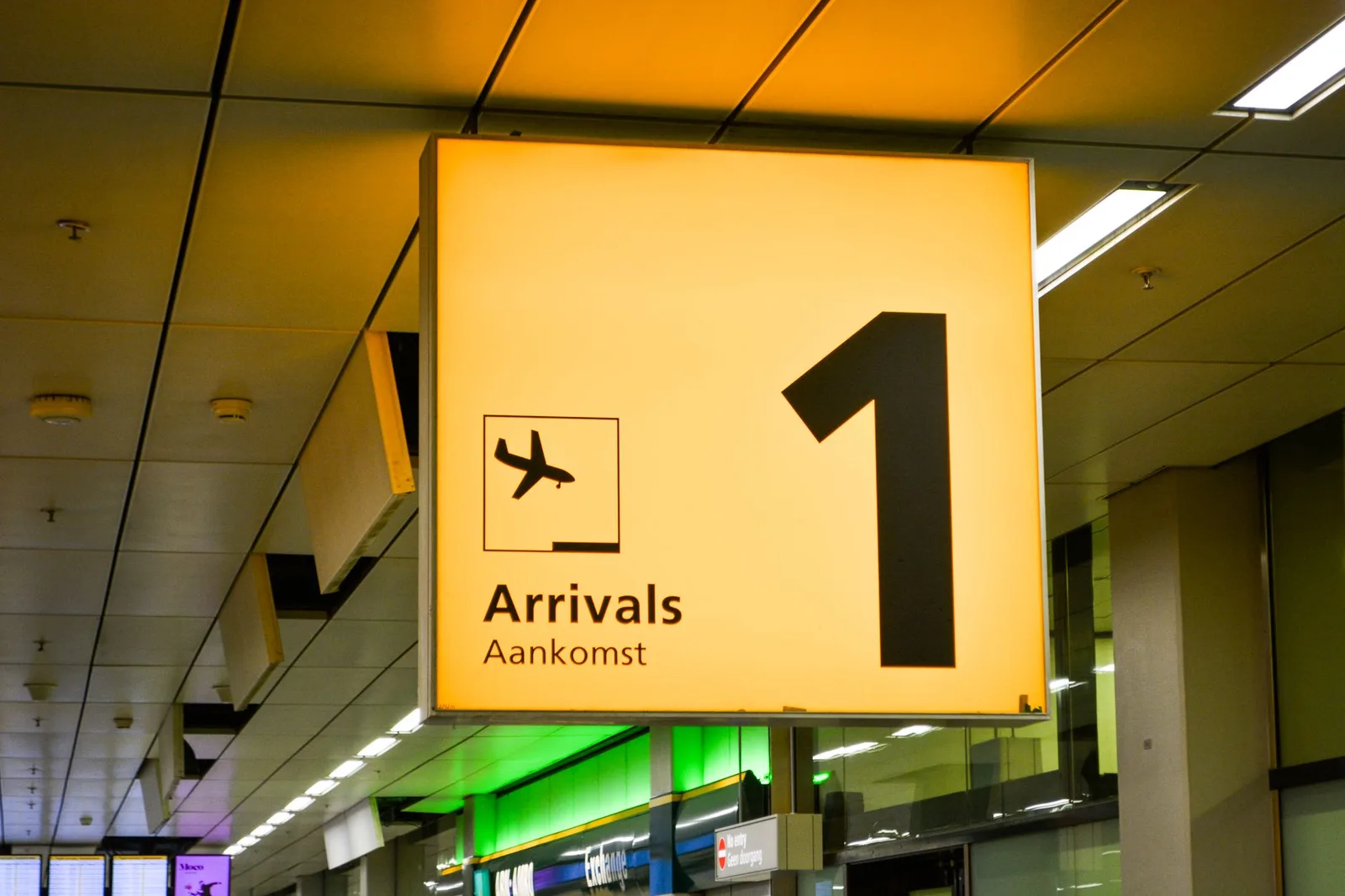 Alya 2026 : plus de 20 000 nouveaux immigrants juifs accueillis en Israël en un an
