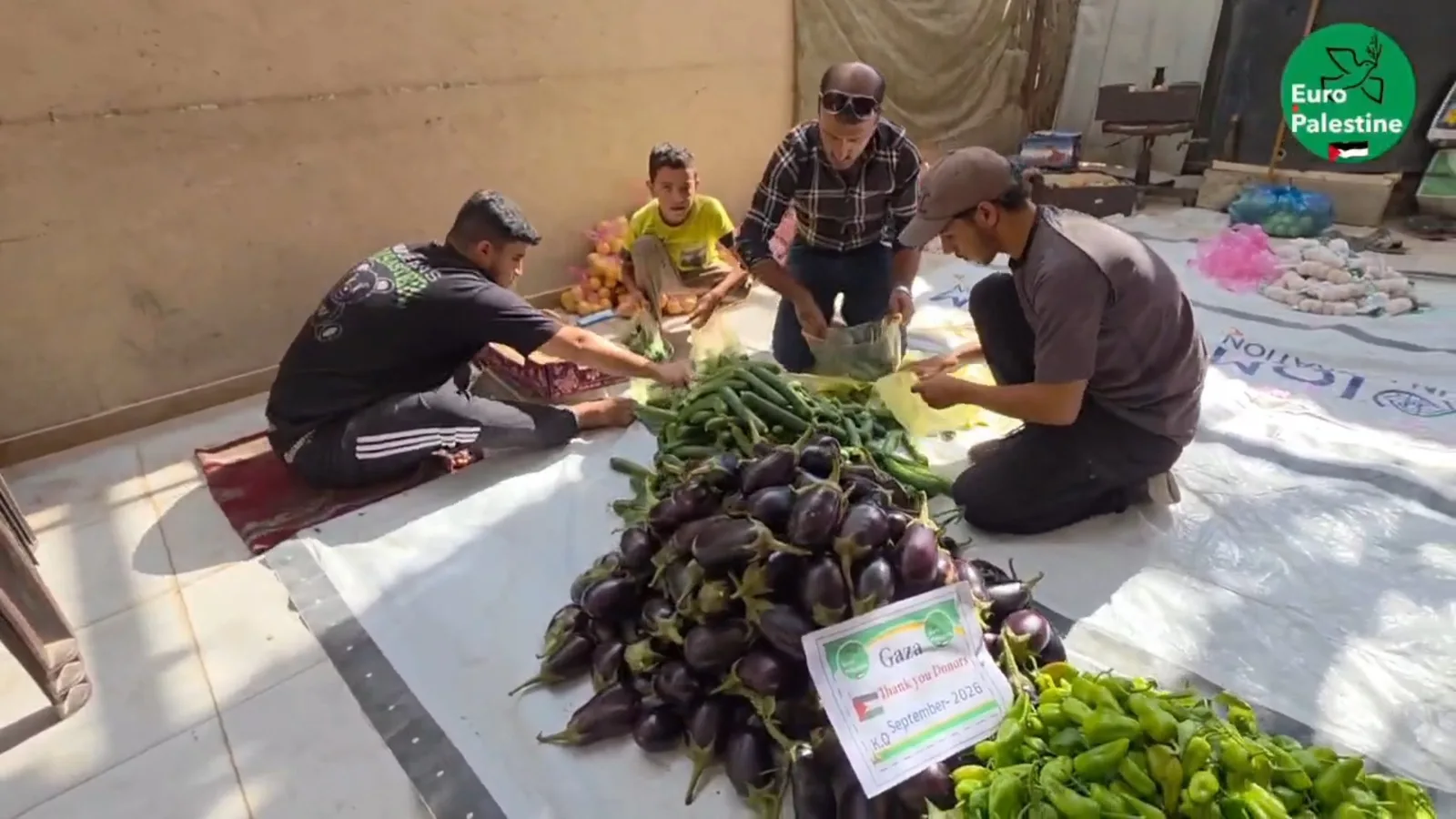 Enfin des légumes pour les familles déplacées dans la région de Khan Younès !