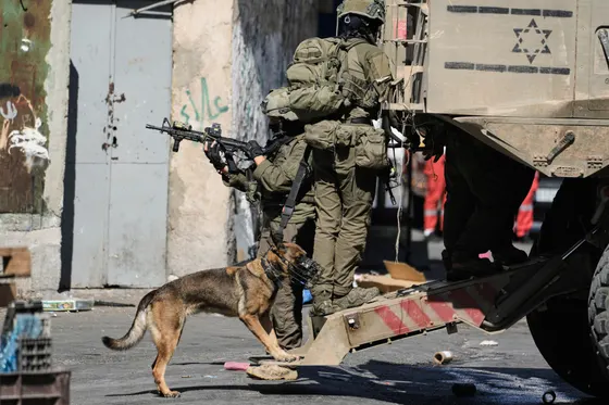 Palestine hebdo : Des perturbations violentes, des oliveraies à la mosquée Al-Aqsa