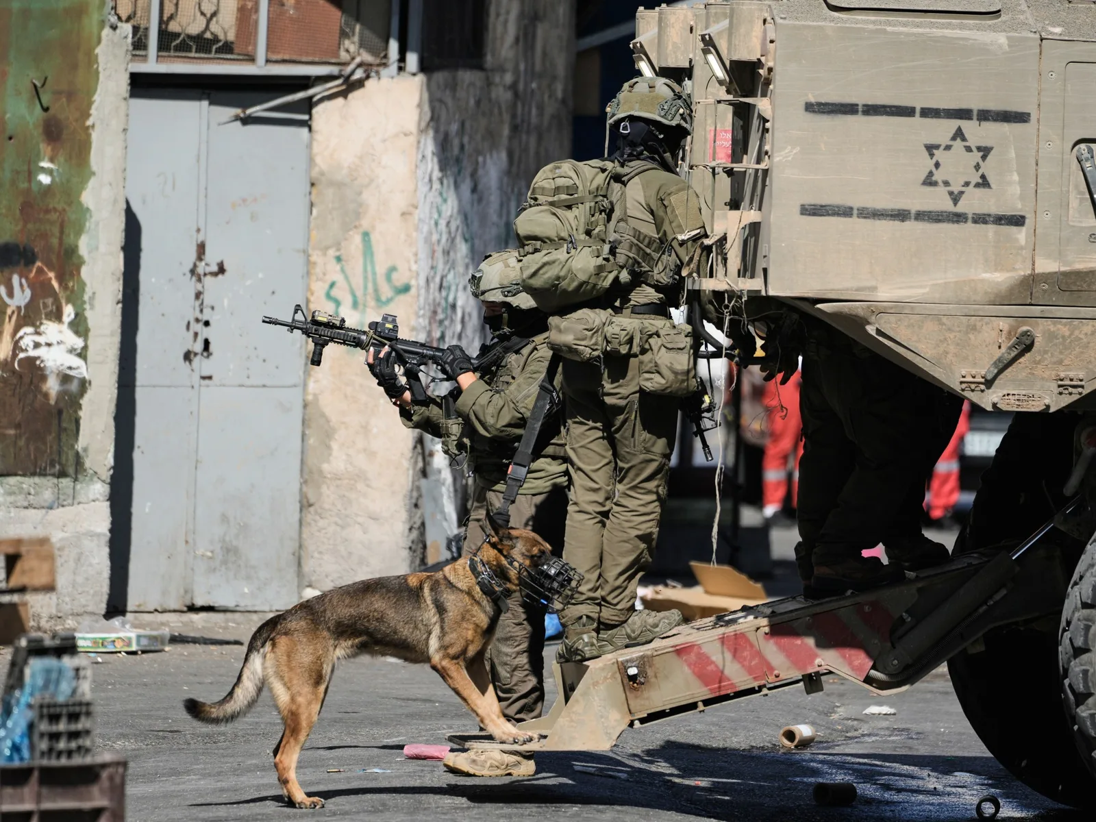 Palestine hebdo : Des perturbations violentes, des oliveraies à la mosquée Al-Aqsa