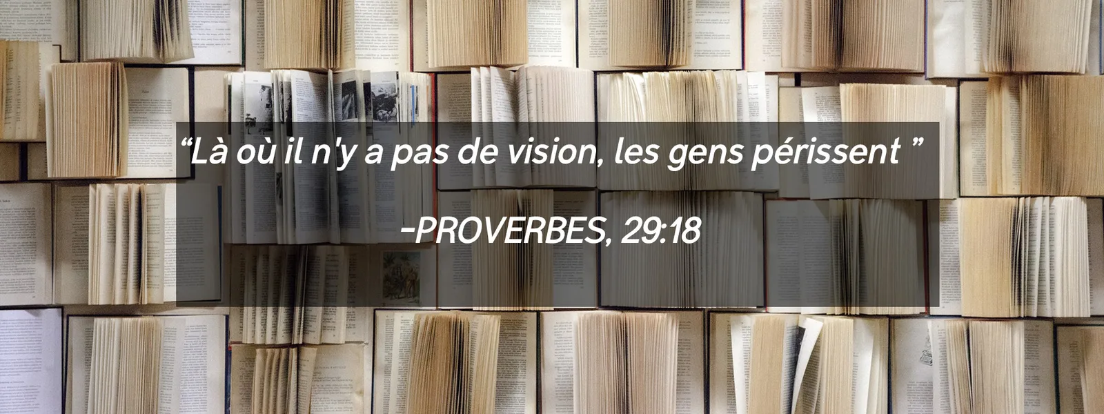 PROVERBES, 29:18