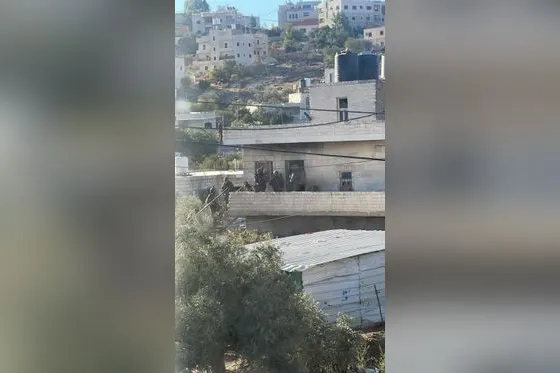 Soldats israéliens, voleurs, violeurs, assassins !