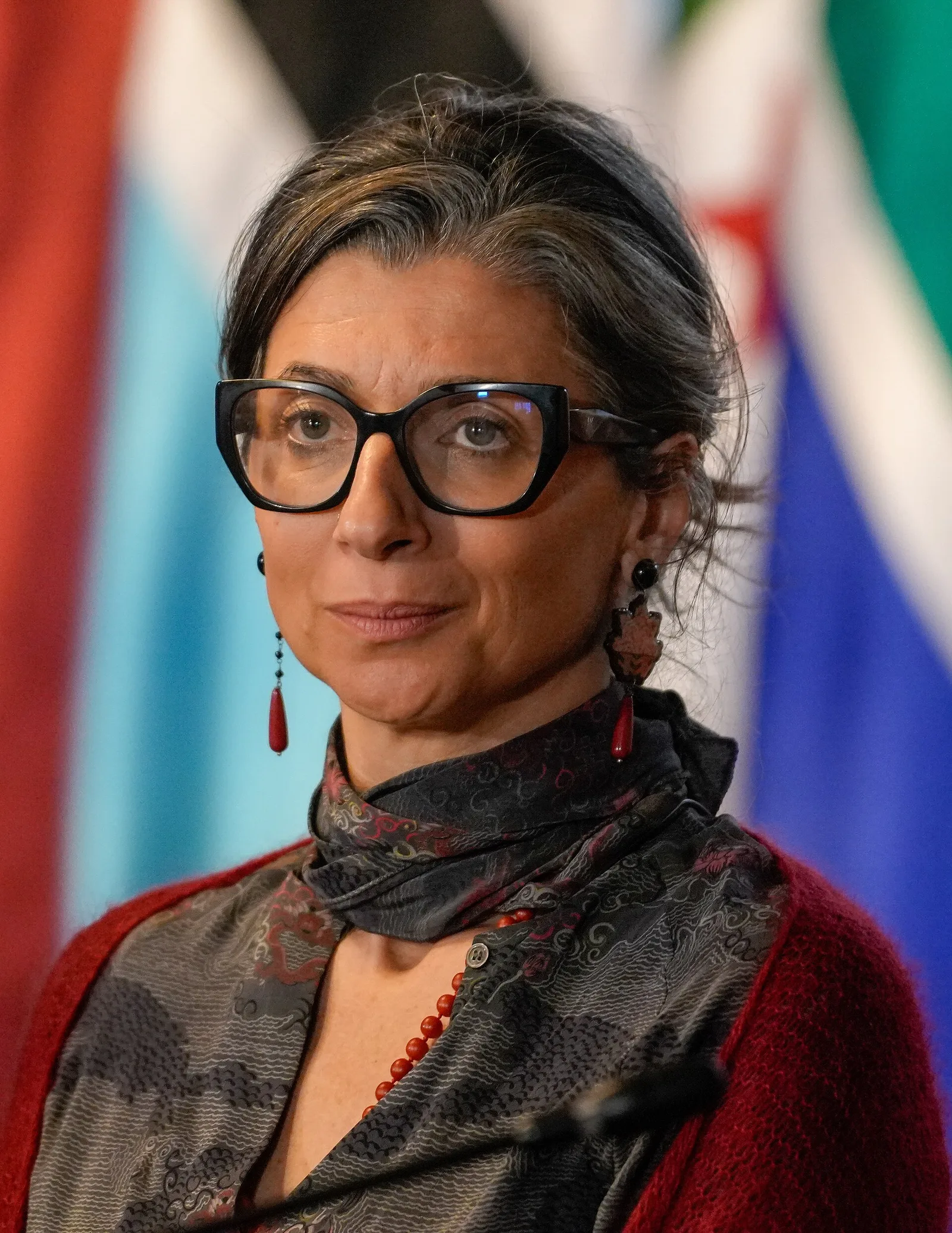 À l'ONU, Danny Danon accuse la rapporteuse Francesca Albanese de mensonges