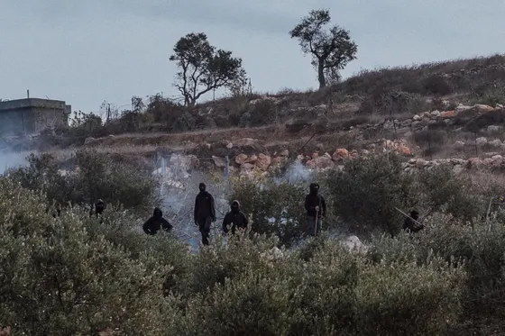 « Chasser les Palestiniens de leurs terres » : en Cisjordanie, les colons sèment la terreur pendant la récolte des olives