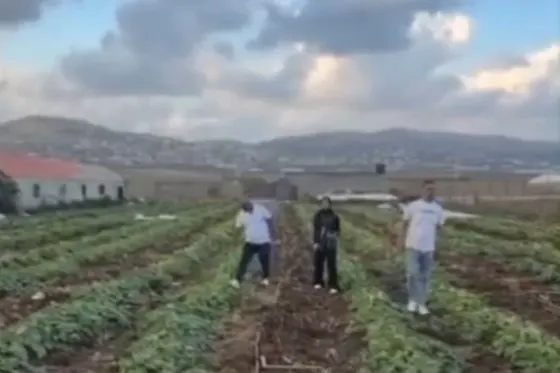 Destruction des cultures, figuiers, oliviers, et systèmes d’irrigation des Palestiniens dans toute la Cisjordanie