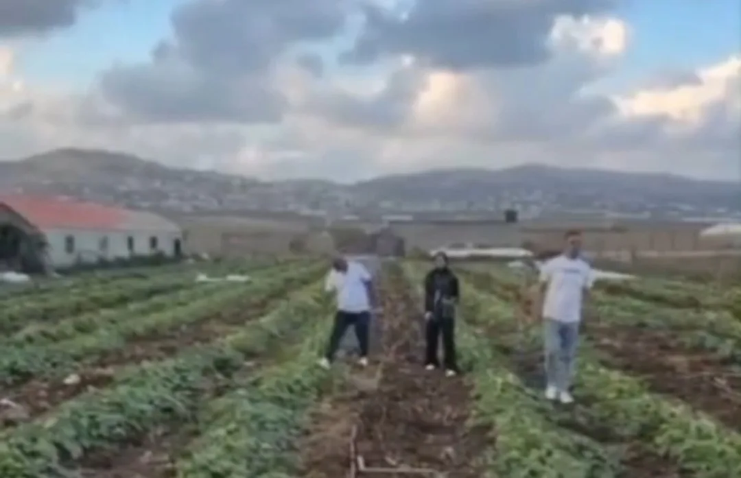 Destruction des cultures, figuiers, oliviers, et systèmes d’irrigation des Palestiniens dans toute la Cisjordanie