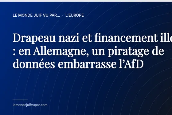 Drapeau nazi et financement illégal : en Allemagne, un piratage de données embarrasse l’AfD