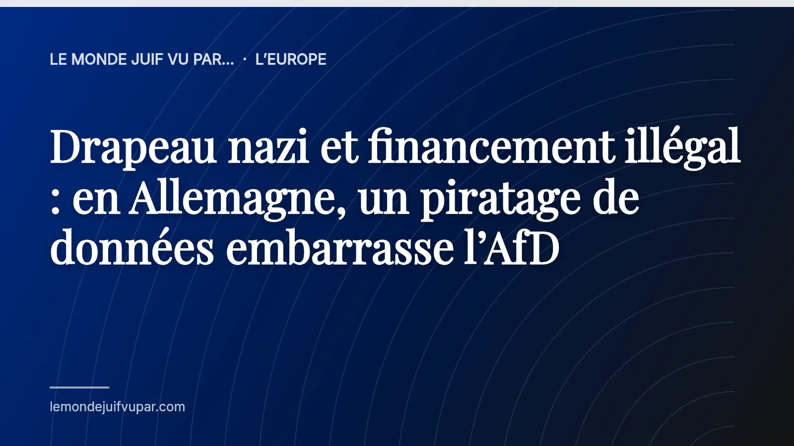 Drapeau nazi et financement illégal : en Allemagne, un piratage de données embarrasse l’AfD