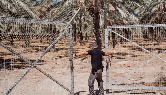En Cisjordanie occupée, des colons inébranlables face aux sanctions occidentales : « Je n’ai pas à m’excuser d’être ici »