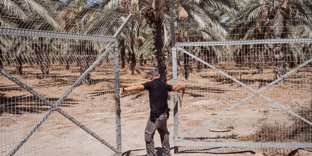 En Cisjordanie occupée, des colons inébranlables face aux sanctions occidentales : « Je n’ai pas à m’excuser d’être ici »