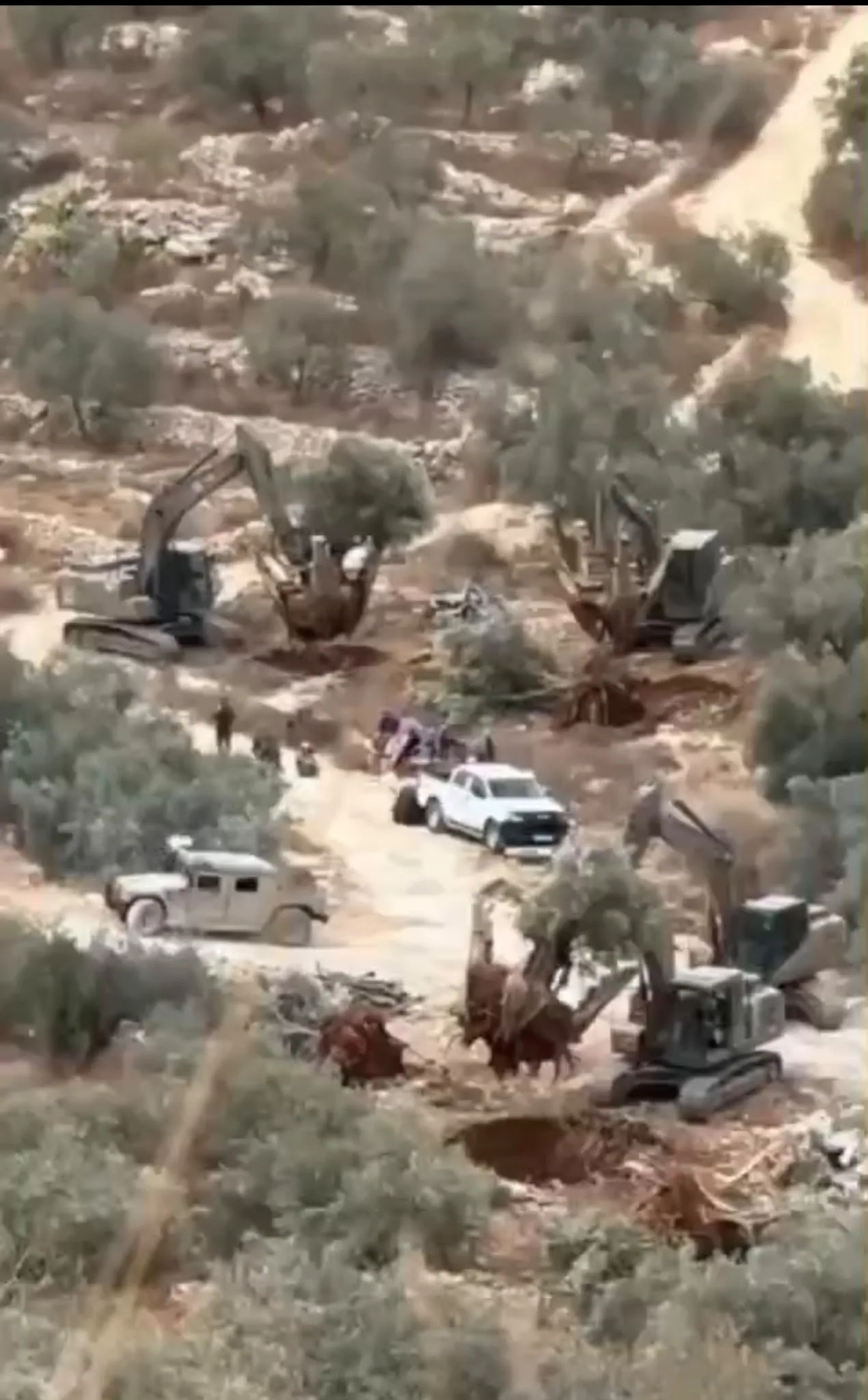 Encore une preuve que les colons ne sont pas seuls à détruire la Palestine (Vidéo)