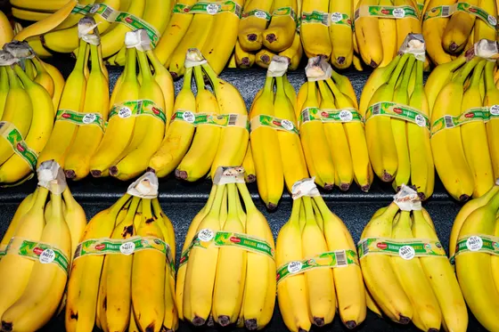 Guerre en Iran | Le commerce du fruit préféré des Nord-Américains perturbé