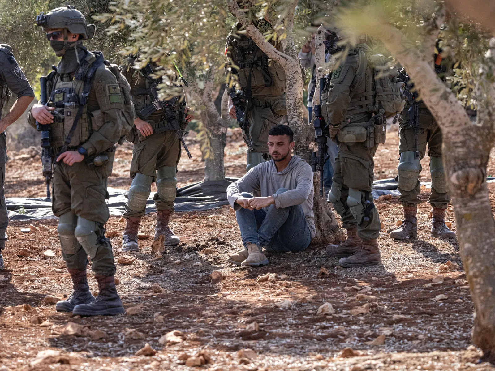 Israël arrête 36 Palestiniens en Cisjordanie, les attaques contre les agriculteurs s'intensifient