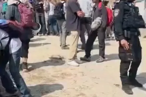 Israël arrête les internationaux, y compris rabbins, venus protéger les Palestiniens pendant la récolte des olives