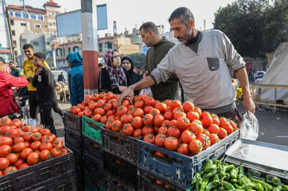 Israël bloque l'entrée de marchandises commerciales à Gaza ; le Hamas nie les allégations fiscales