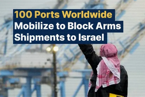 Journée d’action mondiale des dockers contre le génocide à Gaza, vendredi prochain !