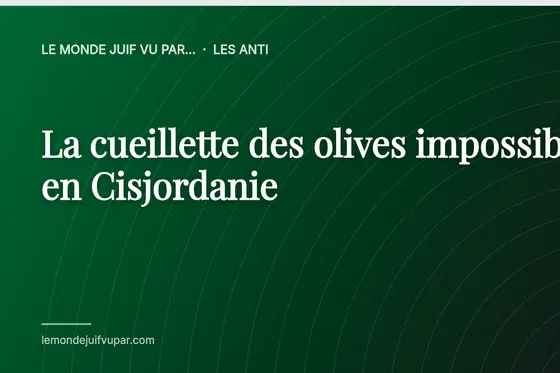 La cueillette des olives impossible en Cisjordanie