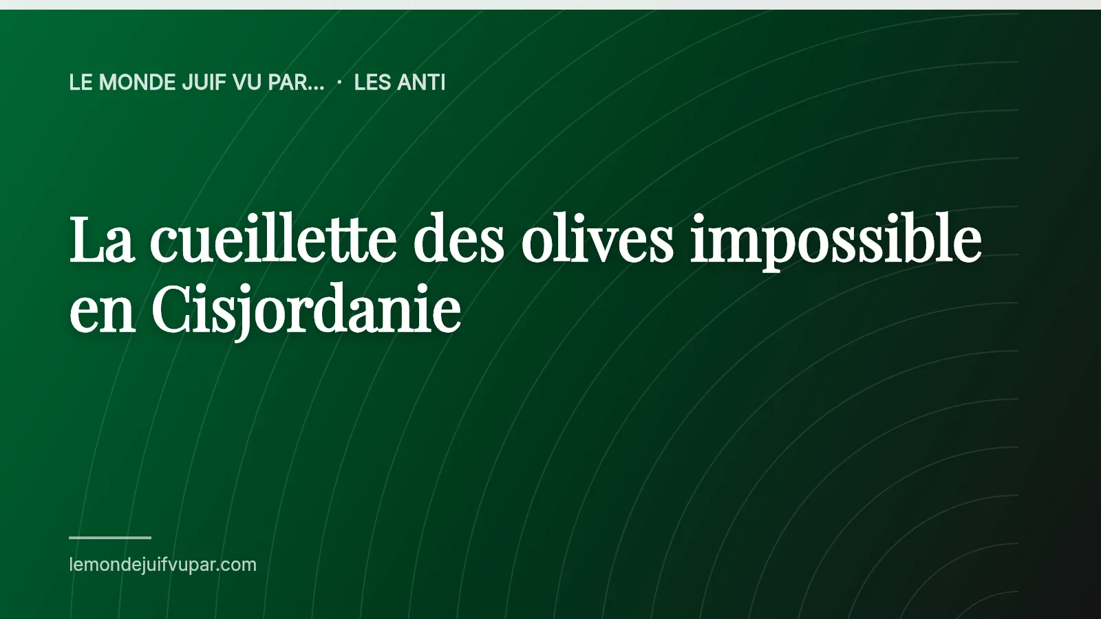 La cueillette des olives impossible en Cisjordanie
