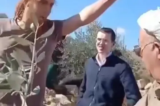 La lutte des Palestiniens pour récolter leurs olives