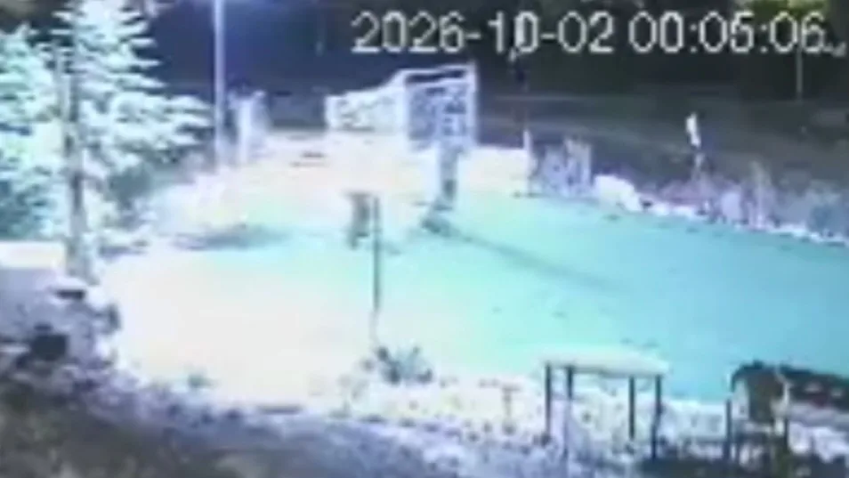 Les colons : des petites frappes encouragées par Israël et ses complices