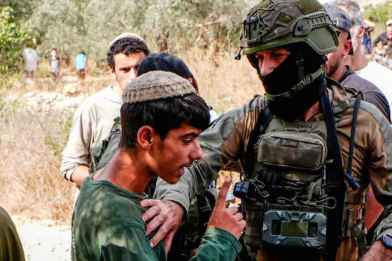 Les Palestiniens cherchent à se protéger des colons violents pendant la récolte des olives