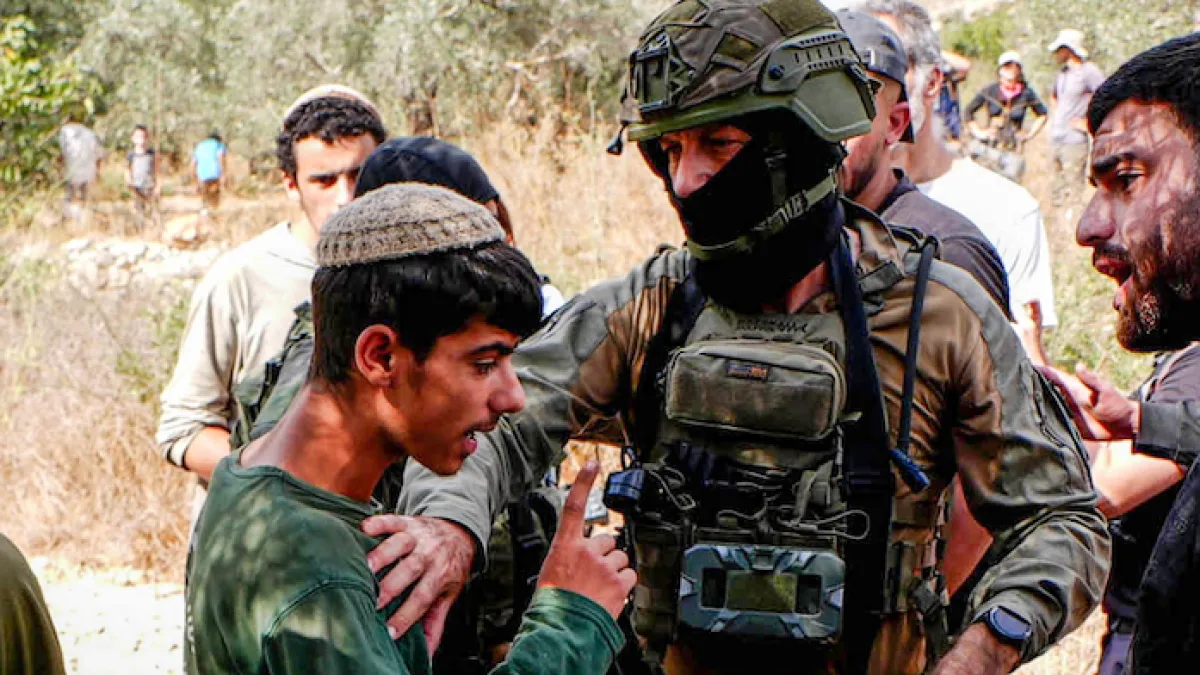 Les Palestiniens cherchent à se protéger des colons violents pendant la récolte des olives