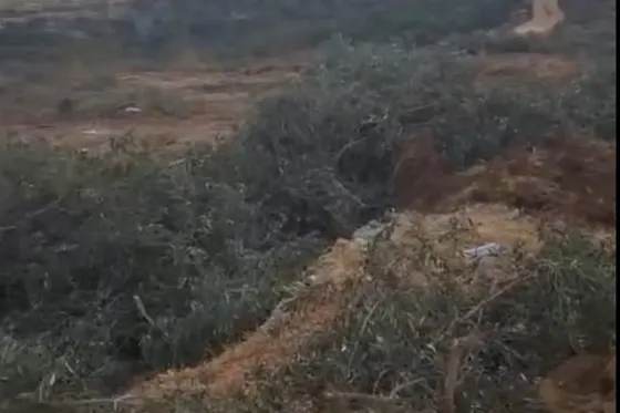 Nouvelles attaques contre le village martyr de Nabi Saleh (vidéos)
