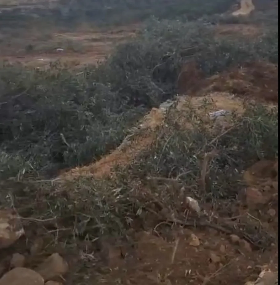Nouvelles attaques contre le village martyr de Nabi Saleh (vidéos)