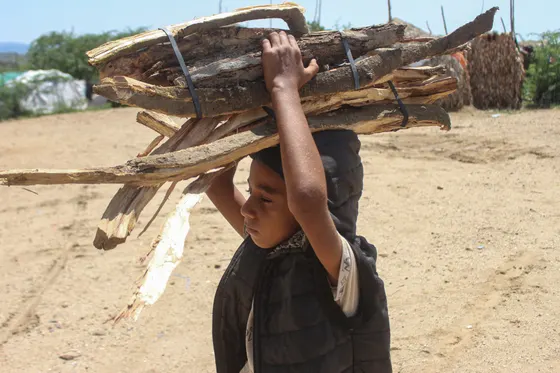 Plus de 200 000 déplacés alors que les combats s'intensifient au Yémen, selon l'ONU