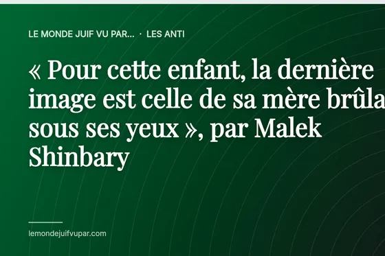 « Pour cette enfant, la dernière image est celle de sa mère brûlant sous ses yeux », par Malek Shinbary