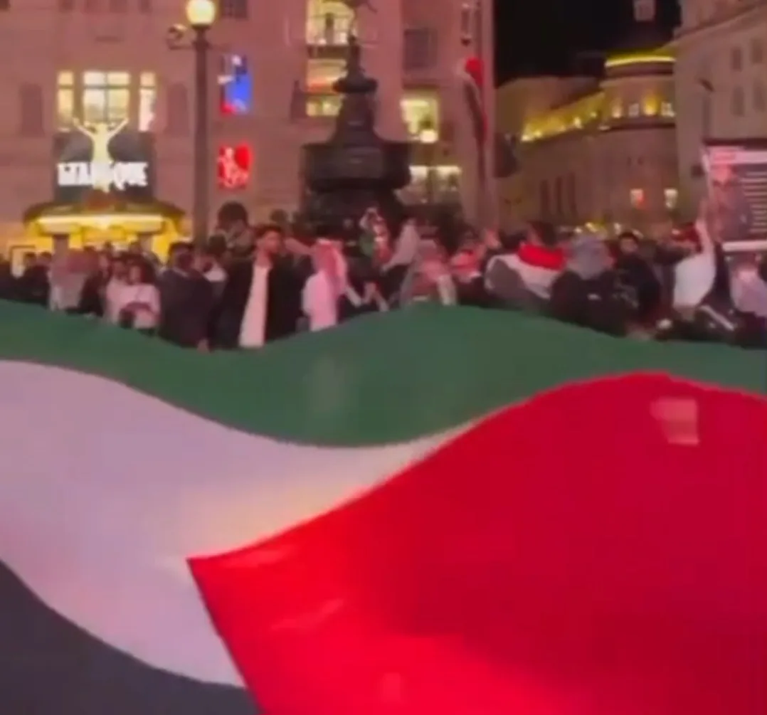 Royaume-Uni : manifestations partout en soutien à la Palestine