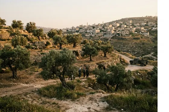 Souccot en Judée-Samarie : un Palestinien tué à Yasuf, plusieurs blessés dans des heurts liés aux récoltes d'olives