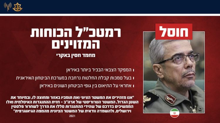 IDF Spokesperson