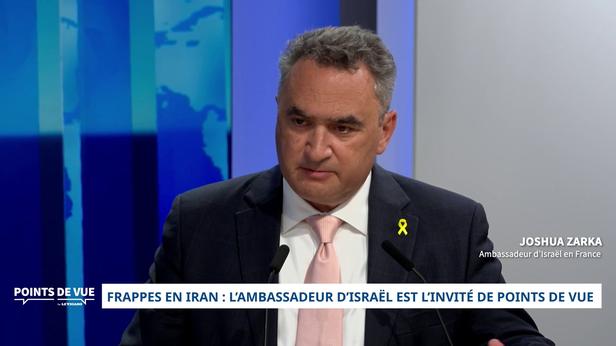 «Les armes israéliennes présentées au Bourget sont utilisées par tous les pays européens», martèle l'ambassadeur d'Israël