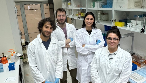 igem25 3