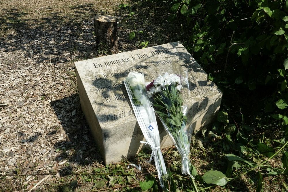 La stèle en hommage à Ilan Halimi et l'olivier à sa mémoire tronçonné