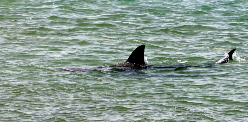 Image d'illustration 