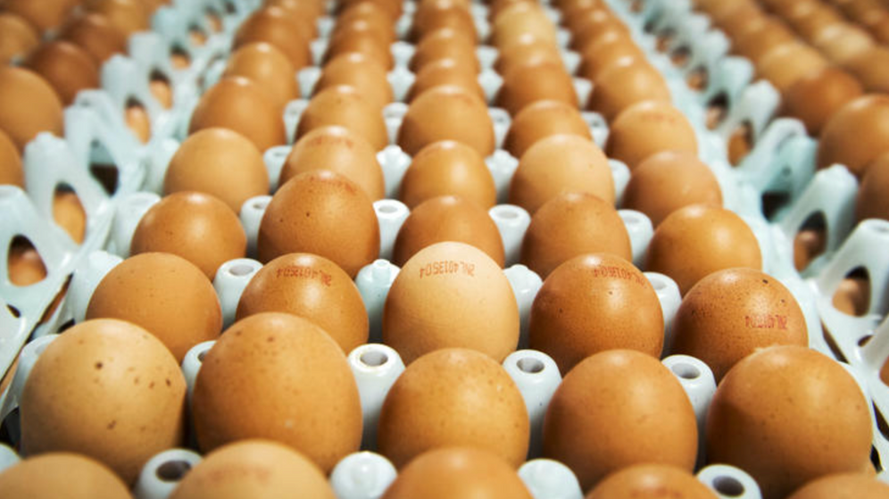 Image d'illustration